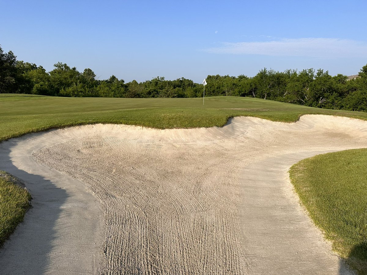 Taylor Olson tweet media