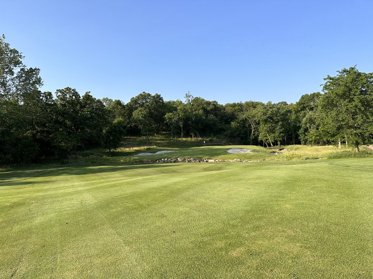 Taylor Olson tweet media