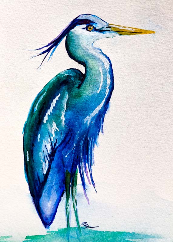 picturedragon's tweet photo. Another #PrideBird 

#PrideMonth2023 #pride https://t.co/cKO7aYwDU4