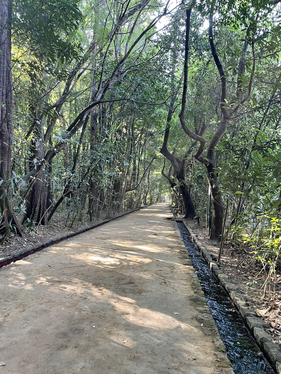 Vengance a correr aquí… 
Parque nacional hay muchos lugares ocultos. Cuenten su experiencia aquí adentro