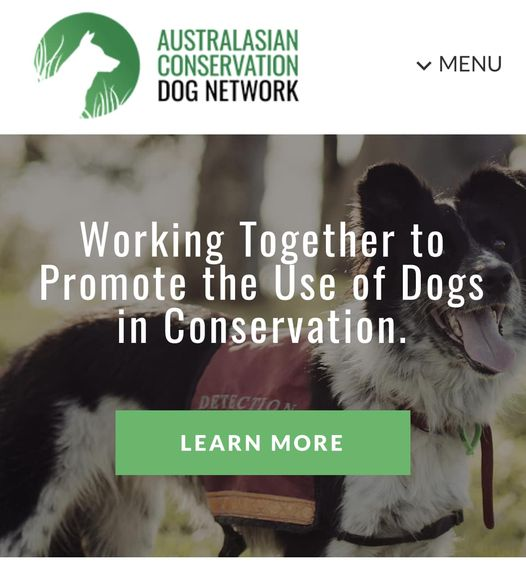 #ACDN members! Did you know you can also subscribe to the Member’s Forum, Notice Board and Library so the latest updates are sent directly to your email? 📩 conservationdognetwork.com.au