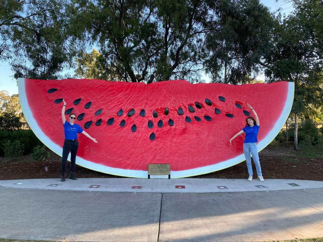 Kyla Adams ⭐💻 tweet media