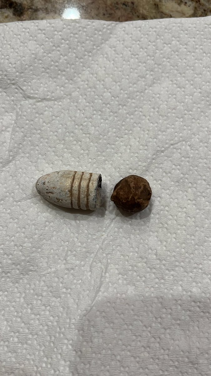 Today’s back yard find, you experts chime in…
Not the long round that an old keepsake.  

The round one was 11” down and showed up as silver.