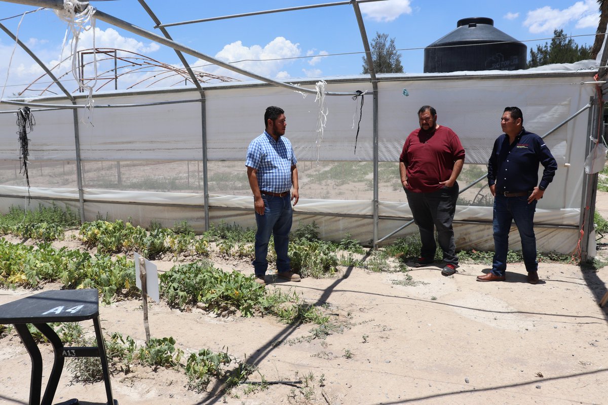 DgetaycmSLP's tweet photo. Supervisión del plantel CBTA 119 ubicado en el ejido El Mezquite de #VillaDeArista, por parte del Lic. Roger Errejón Alaniz, comisionado estatal de la DGETAyCM en #SLP. Más detalles: https://t.co/2A1tAtX1Im https://t.co/1zVRMsw65p