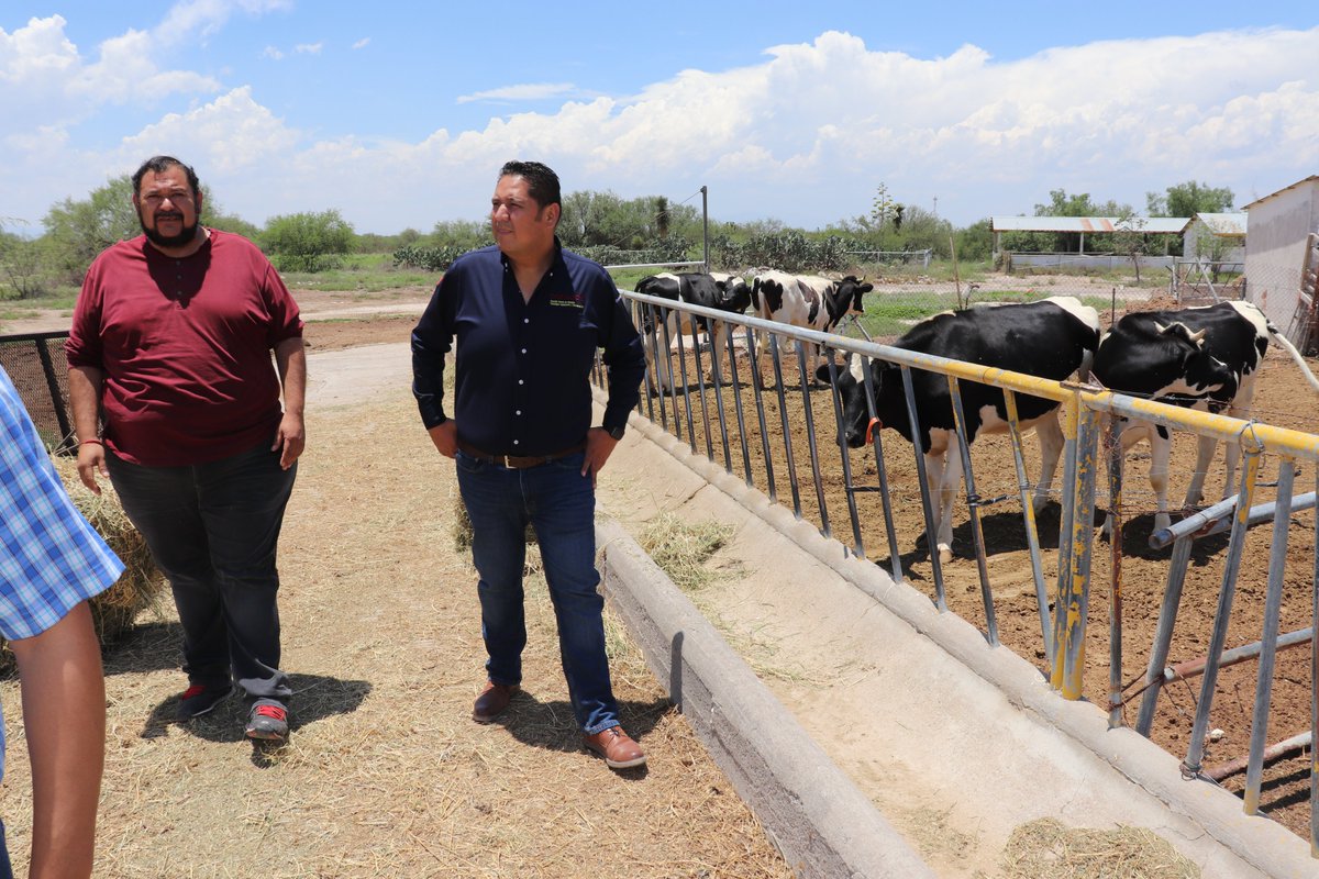 DgetaycmSLP's tweet photo. Supervisión del plantel CBTA 119 ubicado en el ejido El Mezquite de #VillaDeArista, por parte del Lic. Roger Errejón Alaniz, comisionado estatal de la DGETAyCM en #SLP. Más detalles: https://t.co/2A1tAtX1Im https://t.co/1zVRMsw65p