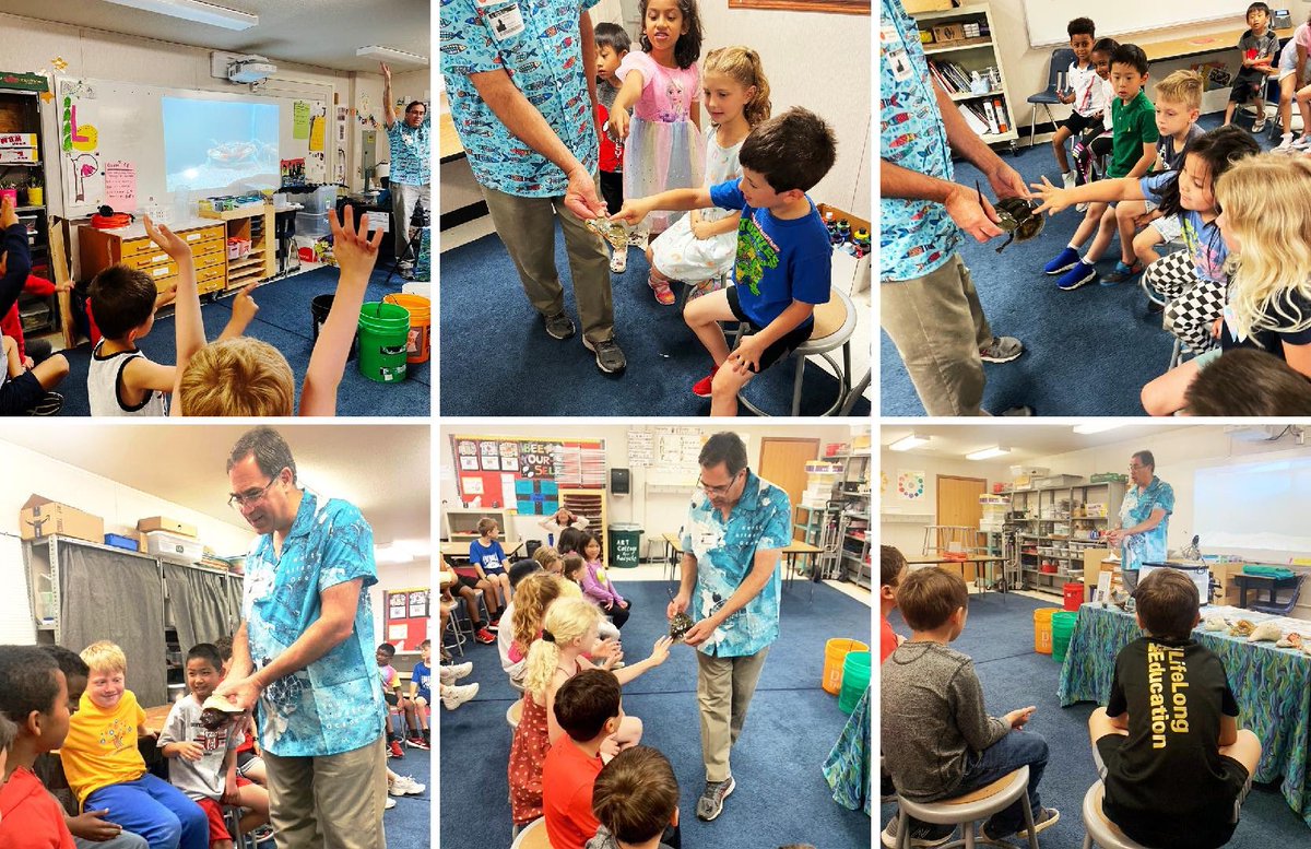 🦀 Fun and Learning in PTA-Sponsored Science Labs

Our Stenwood Stingers have been enjoying one-hour classroom science lab presentations about the critters of the Chesapeake Bay and conservation. The featured sea creatures include a blue crab, horseshoe crab, oysters, and fish.
