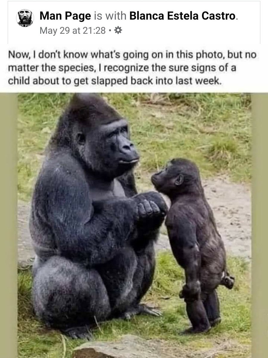 TiaPeter's tweet photo. 😆 https://t.co/Njyg8vGQxy