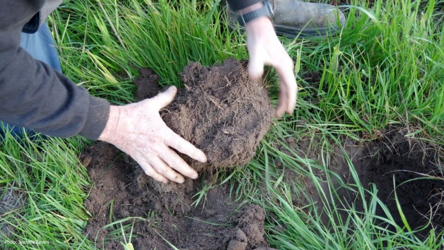 Promising initial results showing more worms and pasture dry matter from a demo trial incorporating organic amendments into clay soils will see more research done across Gippsland, Victoria. 

👉 bit.ly/3qkK1Tc

<a href="/VicGovAg/">Agriculture Victoria</a> <a href="/Gippsland_Ag/">Gippsland Agricultural Group Inc</a> <a href="/severs_jeanette/">The Ag Journo</a>
