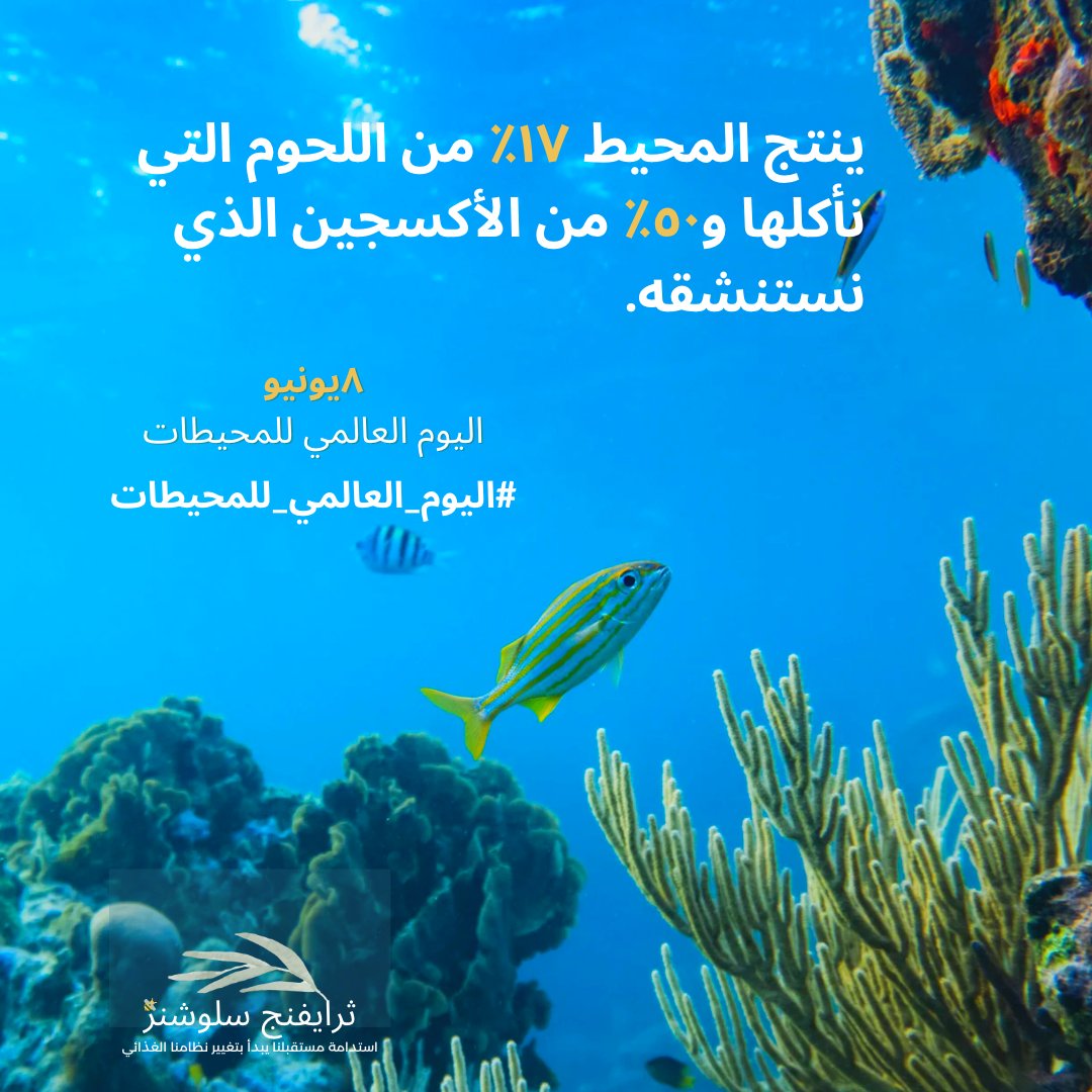 ثرايفنج سلوشنز مكرسة للوصول للحياد الكربوني، وحماية التنوع البيولوجي، وتعزيز الأمن الغذائي والتغذية والمياه
#UNWorldOceansDay #RevitalizeTheOcean United Nations