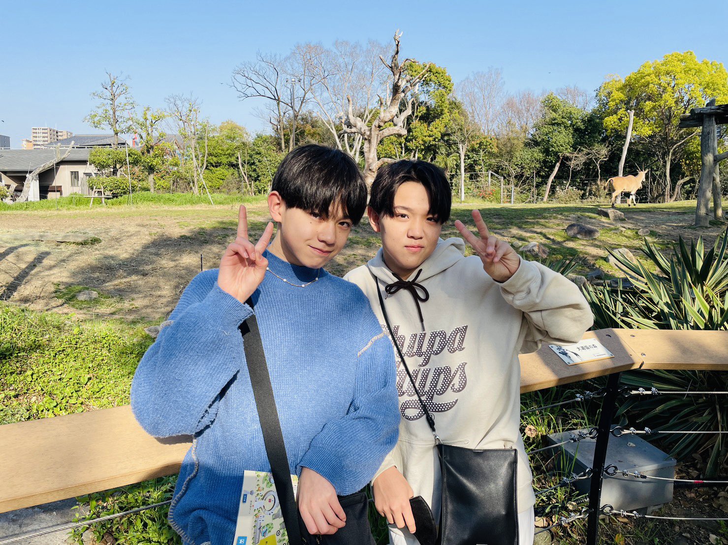 LILLeague 難波碧空 百田隼麻 まとめ売り LIL LEAGUE on X: 