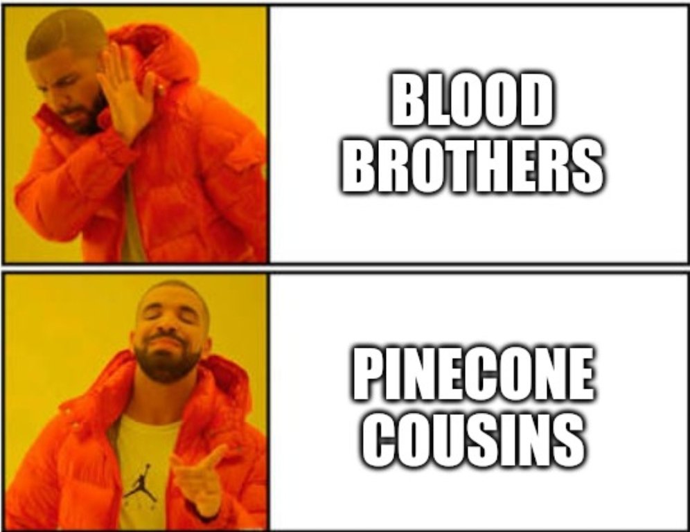 Shouse34's tweet image. #LibertyLibrary