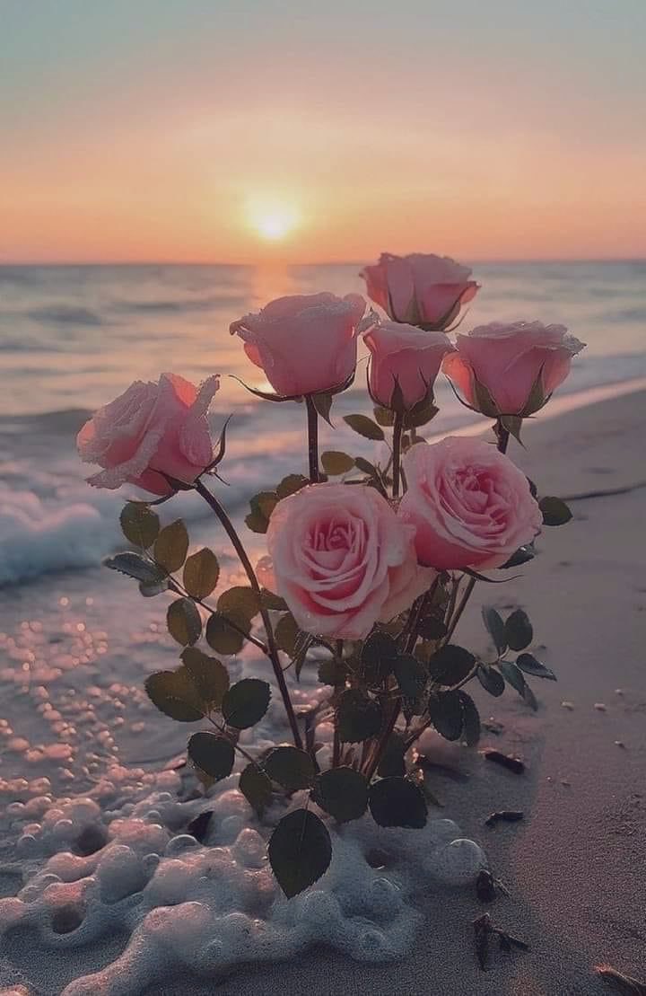 mona11khaled's tweet photo. ﴿ عَسَى اللَّهُ أَن يَأْتِيَنِي بِهِمْ جَمِيعًا ﴾
 أحلاميِ، دعواتيِ، وأمنياتيِ 🤍✨ https://t.co/ReYCV9dATy