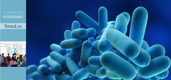 Fimed Formación y Empleo tweet media