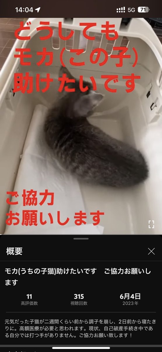 harutar0712's tweet photo. 名古屋駅で演説してる人が居ますよ
猫が大好きな方、募金してみてはいかがでしょうか?
ちなみに募金すると左の写真、これ貰えますよ https://t.co/7UaTstUPg8