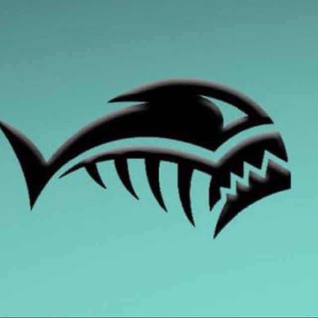 Donaldmark66's tweet photo. @cryptojack I will buy more of $PIRA Piranha, we are expecting it will soon explode 💥💥💥
$PIRA to the moon🚀🚀🚀

https://t.co/8xaaYRok2Y…

https://t.co/ncZQMH4f0R

https://t.co/QbKUdfcUGo https://t.co/qZiaOFxamZ