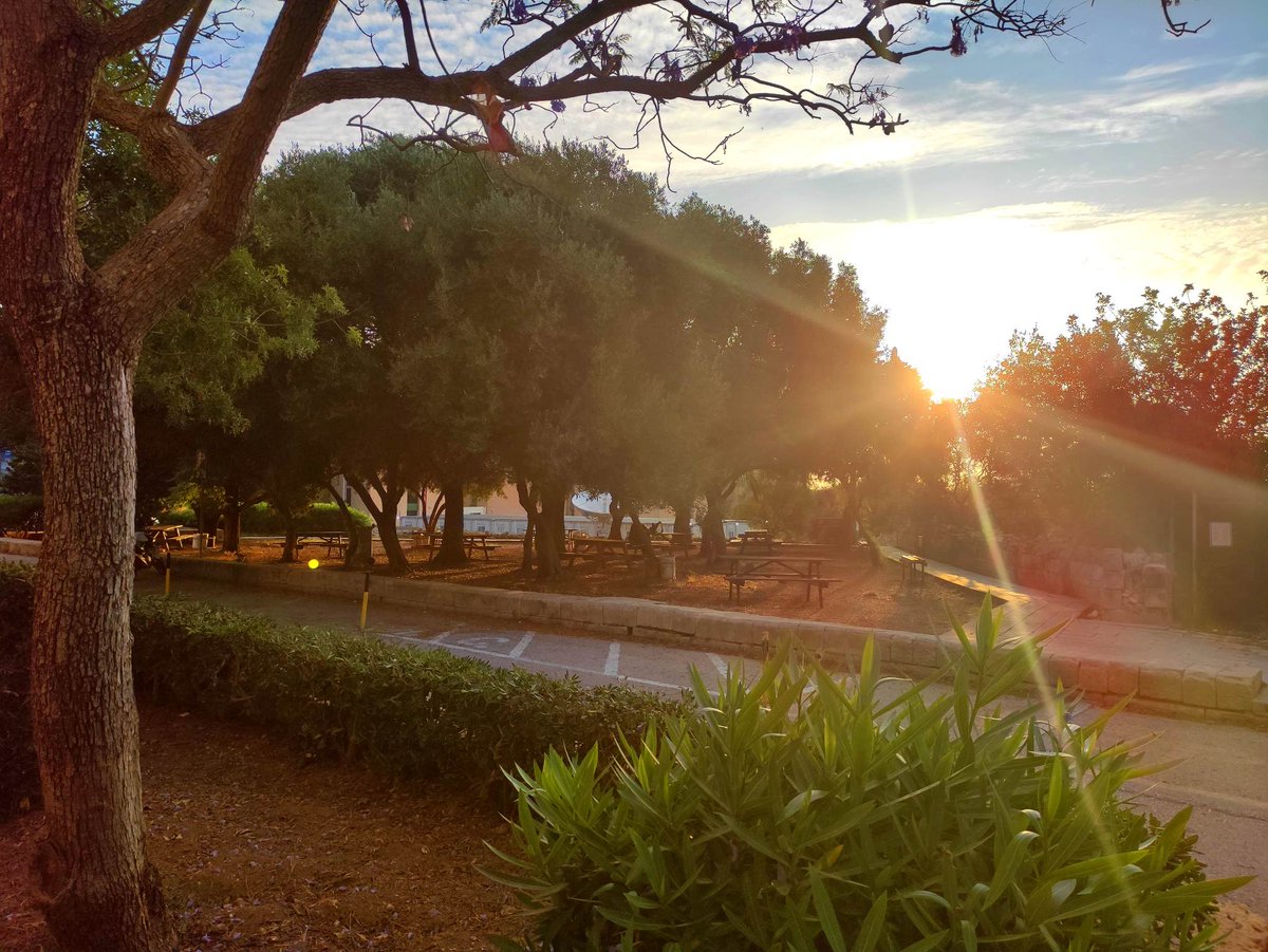 rsci_MT's tweet photo. Sunny vibes and stunning scenery on campus @UMmalta today! ๐๐ To all the hardworking students with exams, stay focused and keep pushing. You've got this! ๐ช๐ #CampusLife #UniversityofMalta #ExamSeason #UMLibrary https://t.co/b7Gf7tGweB