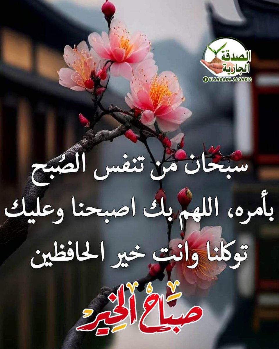 Mohsen Elfouly (@mohsenelfoly4) on Twitter photo 