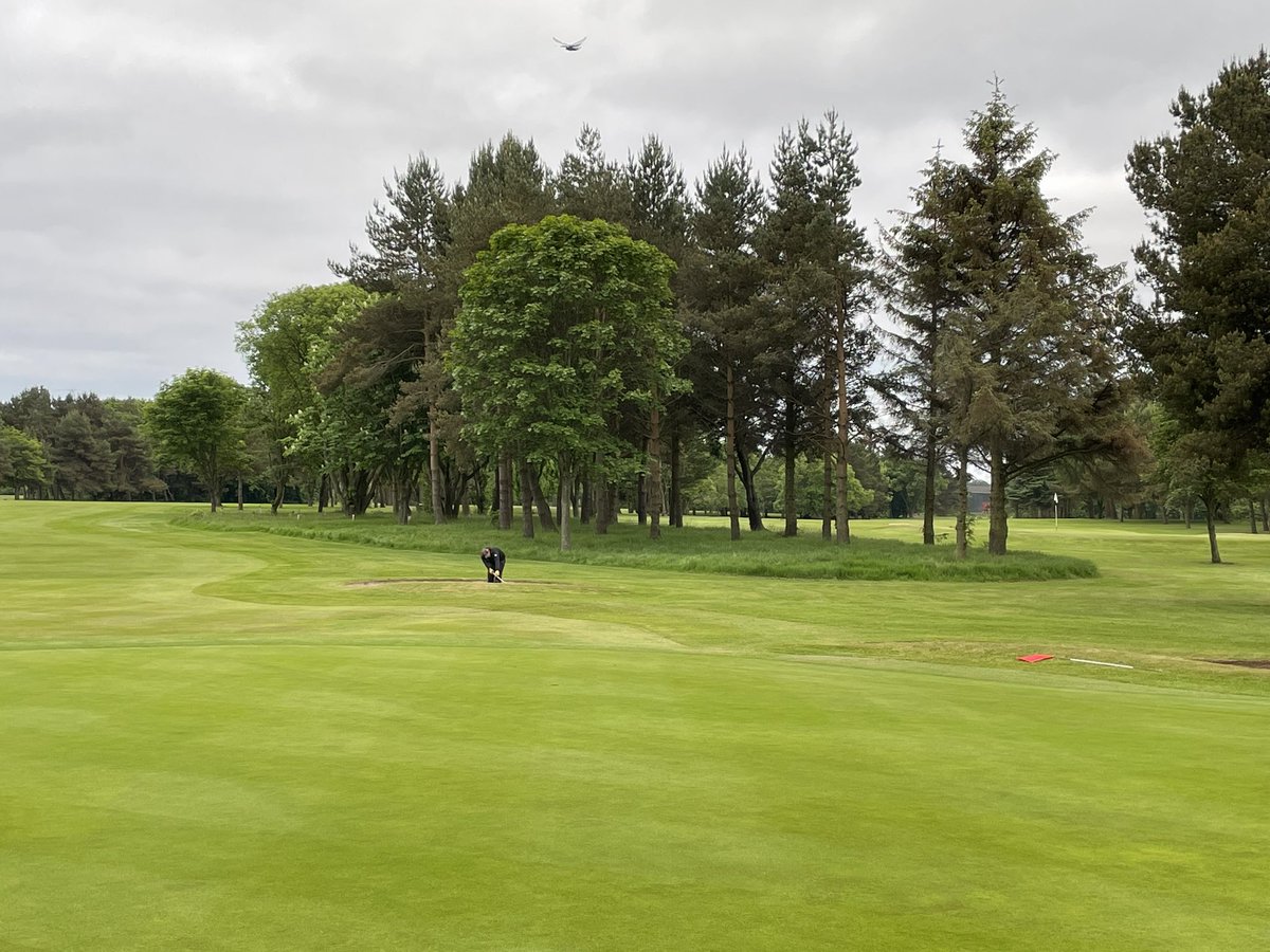 ThorntonGreens's tweet photo. Course setup well underway for todays Fife seniors open. Good luck to all taking part 👍 @FGASecy https://t.co/hI4ESgUIpK