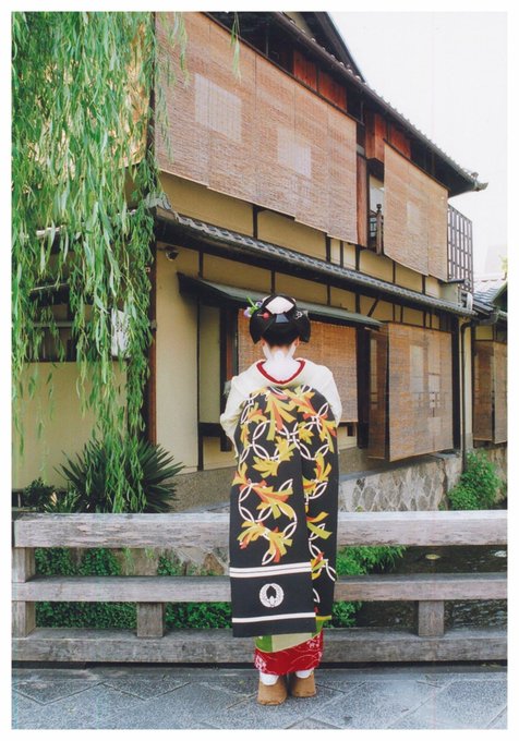 定番キャンバス 本物 舞妓 帯揚げ 絽 蝶々 chavinda.gob.mx