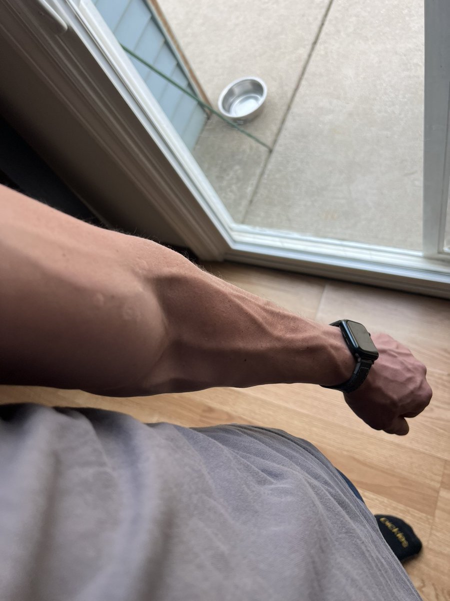 musclemurph's tweet photo. Even with some spotty training and absolutely ᴢ ᴇ ʀ ǫ proof of gyms….

Still got a few good veins 🧟‍♂️ https://t.co/qHcMwdaPAa