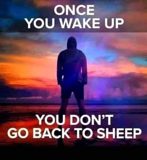 Joe_S_Pure's tweet photo. True story https://t.co/AzF1UDjdyc