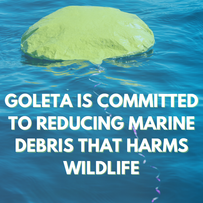 CityOfGoleta's tweet photo. As part of the #PlasticFreeGoleta initiative, mylar/foil balloons cannot be sold in the #CityofGoleta or used in public spaces under our new ordinance. Balloons are known to be bad for the environment, harm wildlife, and cause power outages.

Thank you for doing your part! https://t.co/N4eyCuTtNI