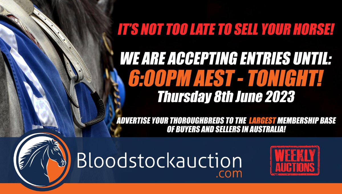 📣Calling for Entries! List Your Thoroughbreds for Sale - mailchi.mp/bloodstockauct…