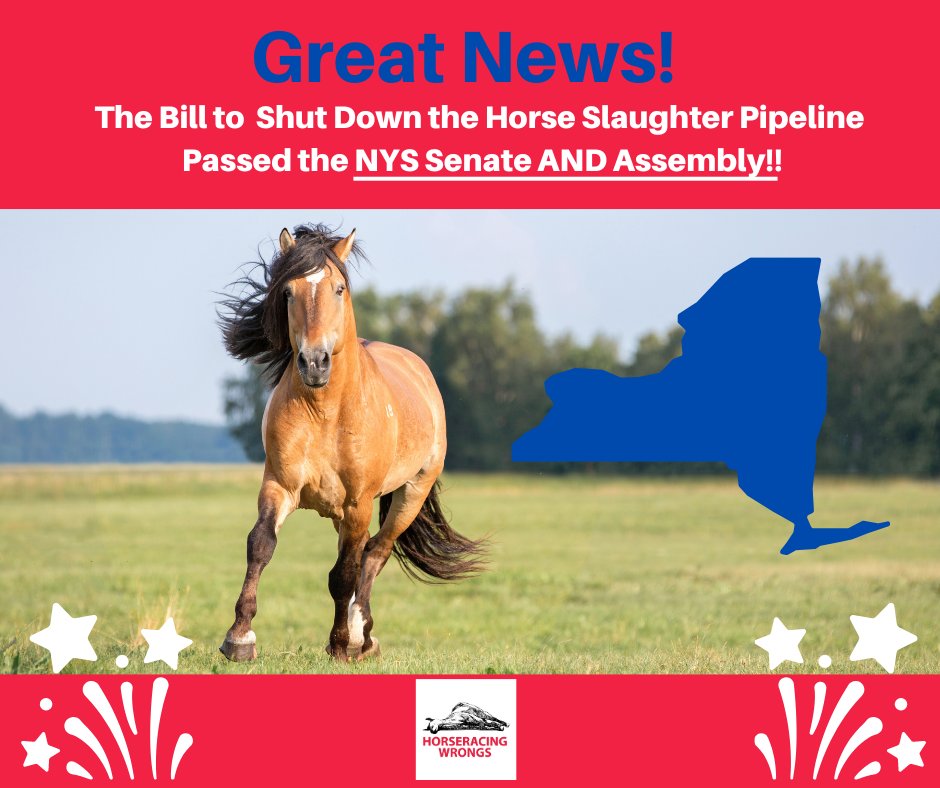 📢Incredible news! Moments ago the NYS Assembly voted and passed the bill to Shut Down the Horse Slaughter Pipeline in NYS!

We are beyond grateful that the NYS Legislature passed S2163/A5109! 🐎 #EndHorseslaughter