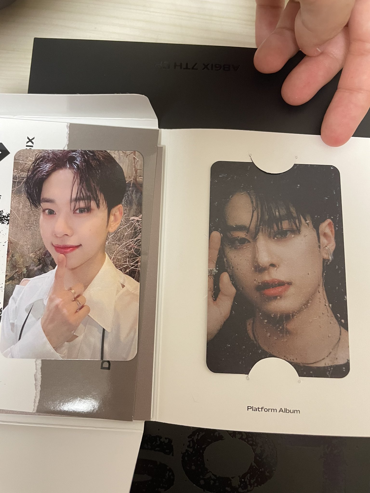 AB6IX ウン ポラロイド