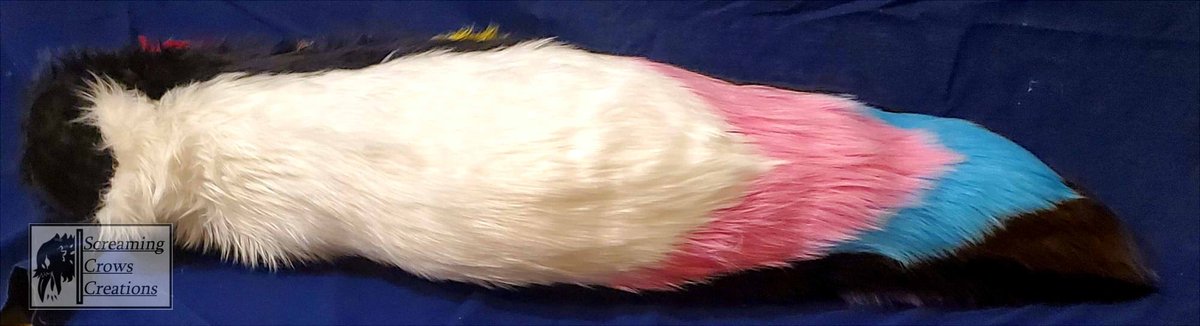 2ScreamingCrows's tweet photo. A pride tail that will be given at the upcoming #WFS45 hosted by @FurlifeNW this weekend, representing the progressive pride flag! This chunker measures about 3'5" long and has a good swing on it! We hope whoever wins this enjoys it as much as we do! :D https://t.co/QgwMyytHxT