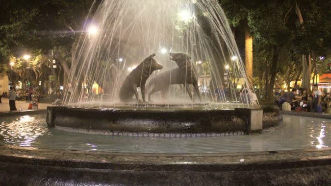 Ya comenzaron los recorridos de leyendas en Coyoacán. ¡Te esperamos detrás de la Iglesia de San Juan Bautista! 

#leyendas #leyendascdmx #centrodecoyoacan