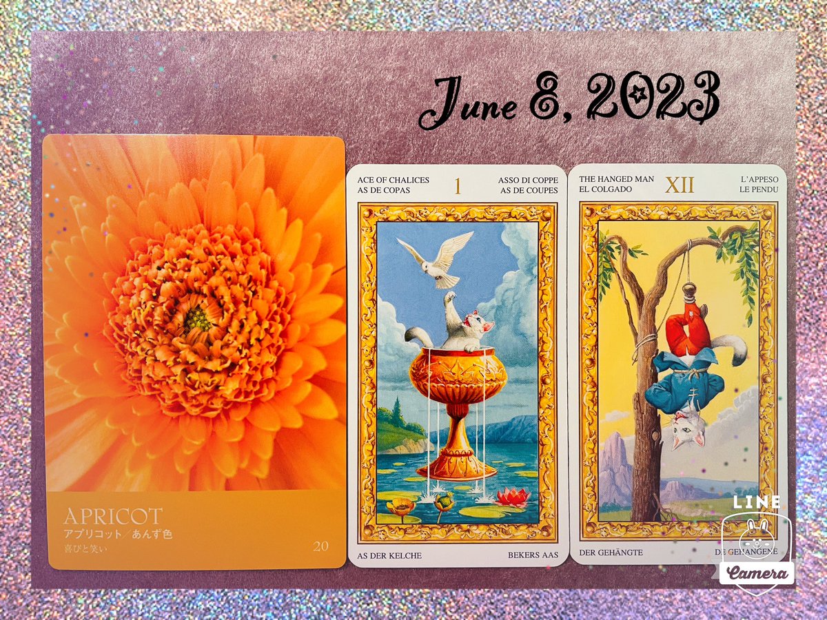 nene73's tweet image. 嬉しいな✨
楽しいな✨
愛おしいな〜💖

そんな気持ちが生まれるのは
あなたの心が動いたとき。

何を見てだろう？
何に触れてだろう？

あなたの「好み」を
再確認できる日になりそう🥰

新しいジャンルに
興味を持つことがおすすめ。

これだ！という
閃きを頼りにしてみてね💡

#colorcard🧡