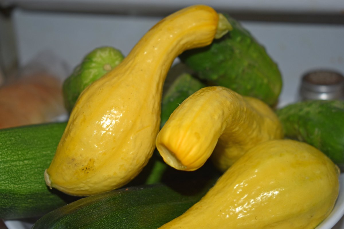 Photo of the day June 07, 2023 - Cucumbers, yellow squash, and zucchini from the farmers market. #photooftheday #yellowsquash #summersquash #cucumbers #zucchini #food #farmersmarket