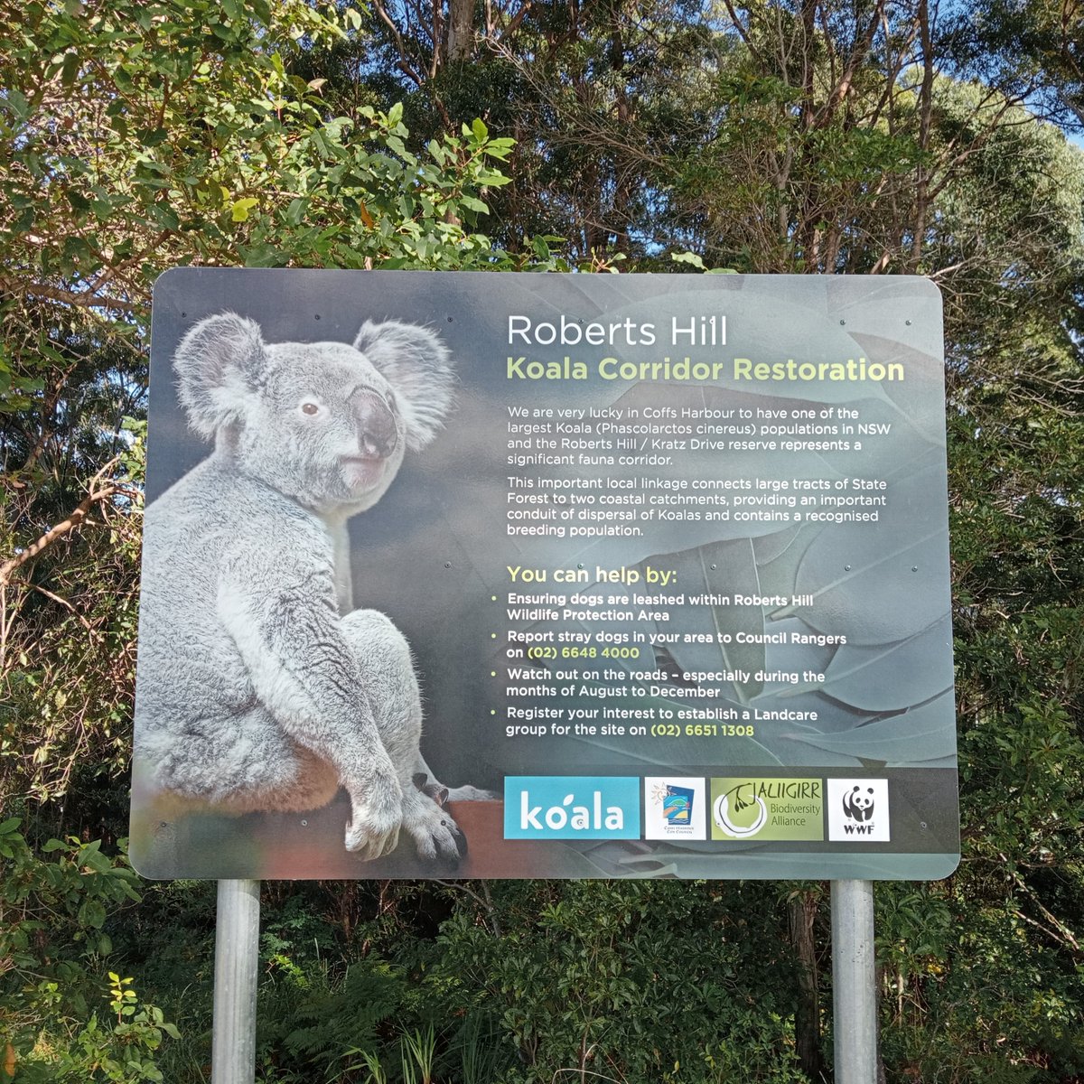 GreatEasternRanges tweet media