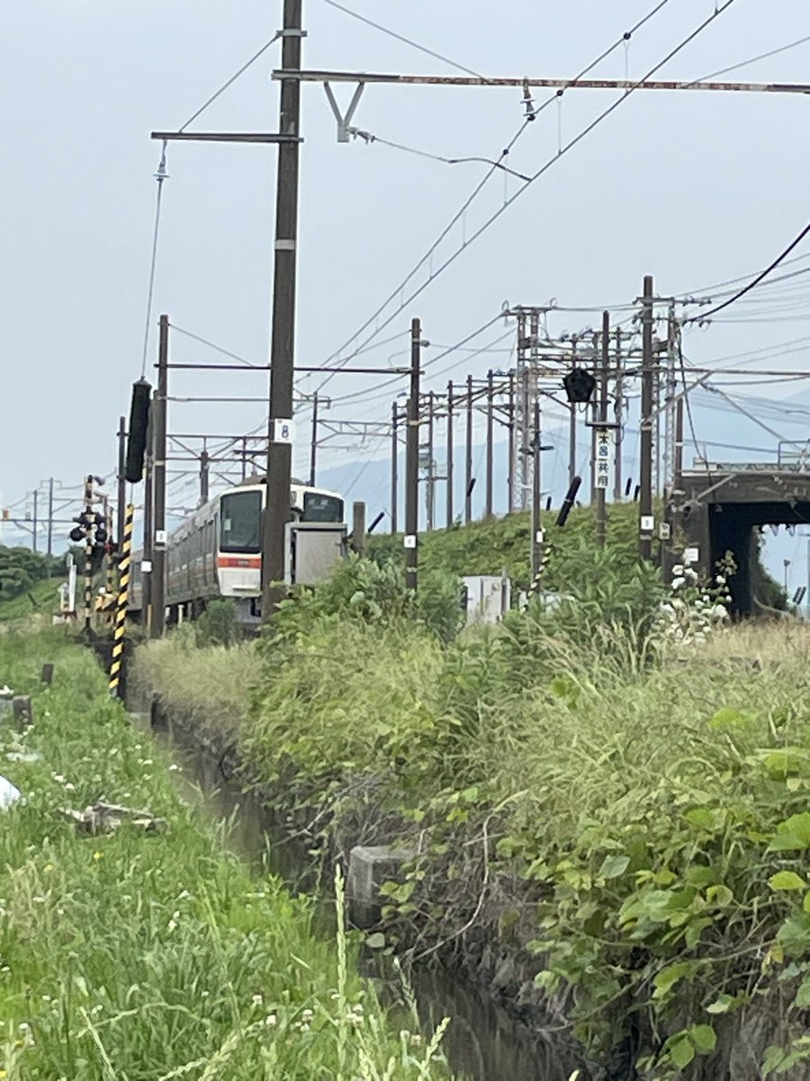 takkin_engine_d's tweet photo. 大垣〜垂井間。217F普通米原行きは311形G11編成が運用に入りました🫡
#217F
#311系
#G11
#jr東海_運用 https://t.co/CSypZ683BQ
