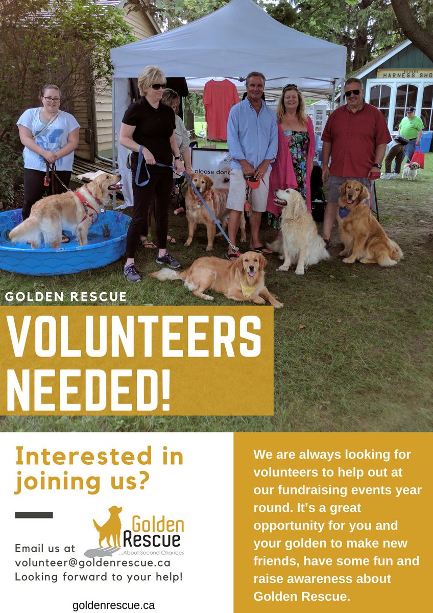 We need volunteers for our upcoming events. Can you spare a couple of hours to help us raise awareness about Golden Rescue? Click on the link to learn more: bit.ly/43av7NB

#goldenretriever #rescuedog #volunteer #weneedyou