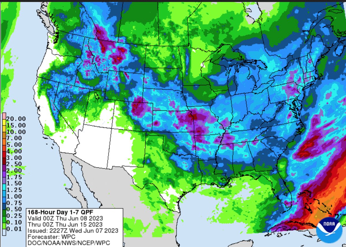 Allen Motew tweet media