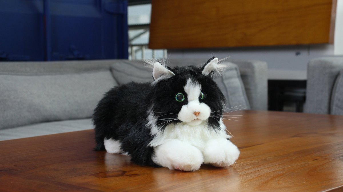 meta_Robotics's tweet image. Experience the unparalleled world of metaCat! 😊Interact, bond, and have fun with the ultimate robotic cat companion! 😍

#metaCat #RoboticPets #robotics #猫好きさんと繋がりたい