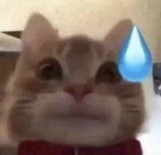 RAIMEILIA 🔞 on Twitter "Why femboys are so obnoxious"