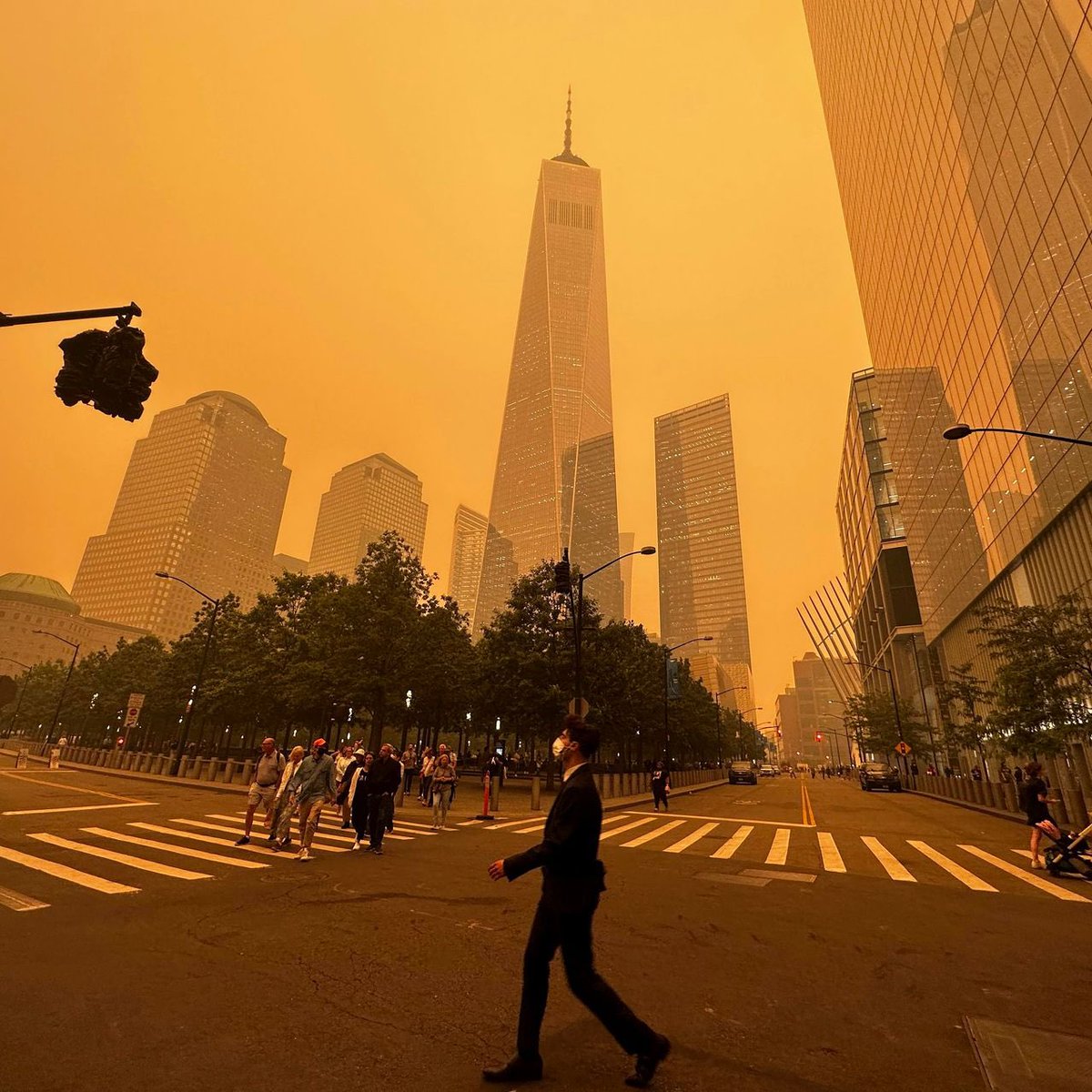 TorranceCoste's tweet photo. The wildfires choking huge parts of North America with smoke this week are intensified by climate change.

But they’re also supercharged by industrial logging. 

Forests are “managed” to supply the maximum amount of timber, which concentrates fuel and reduces resilience.
1/3 https://t.co/krpaL3I5vD