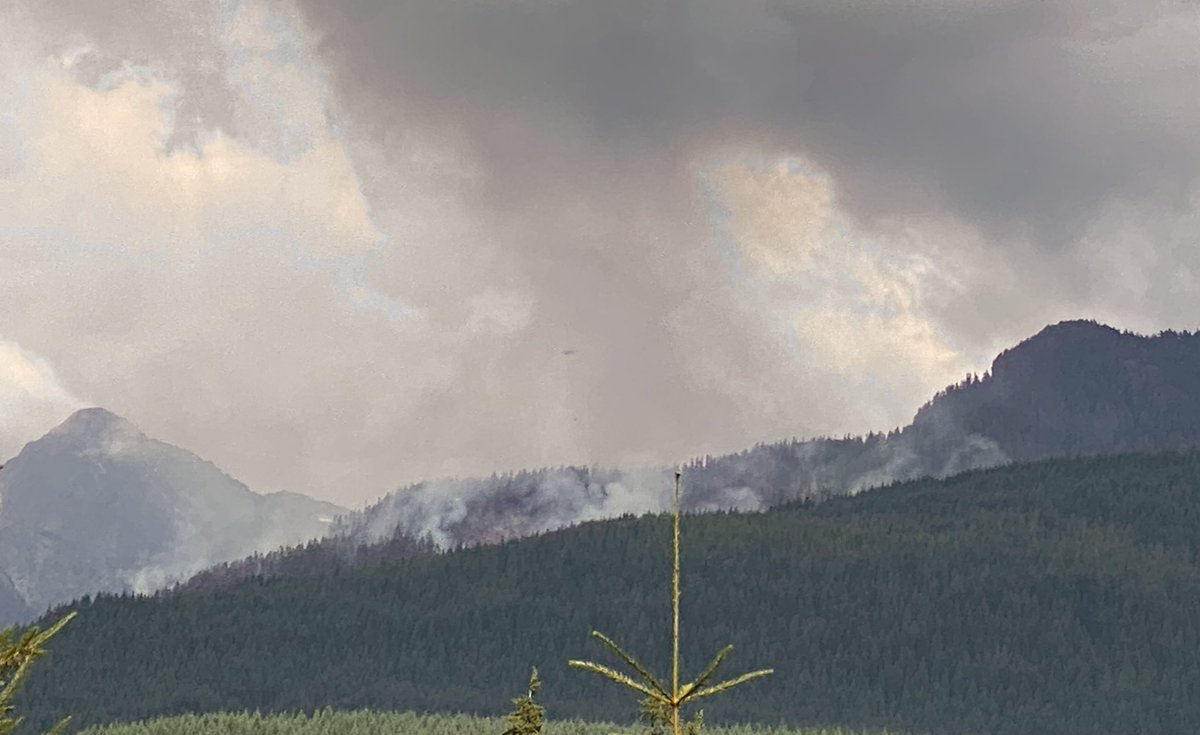TorranceCoste's tweet photo. The wildfires choking huge parts of North America with smoke this week are intensified by climate change.

But they’re also supercharged by industrial logging. 

Forests are “managed” to supply the maximum amount of timber, which concentrates fuel and reduces resilience.
1/3 https://t.co/krpaL3I5vD