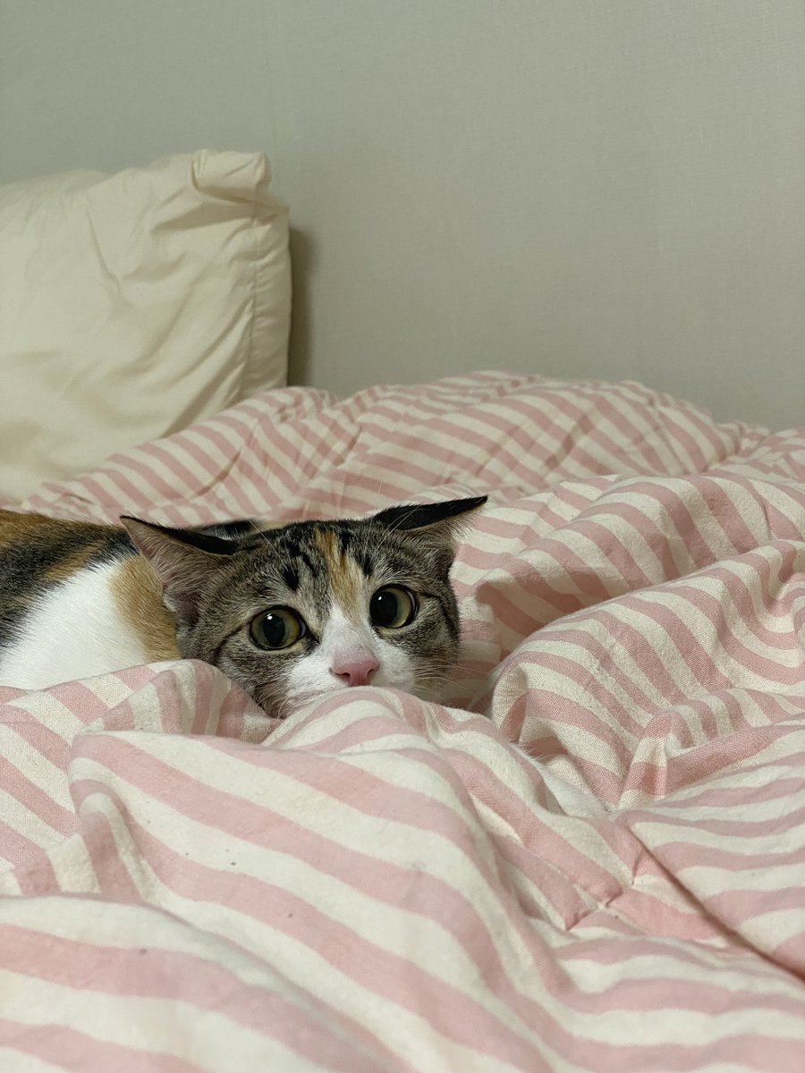 얼짱겅듀 먹짱우주 tweet media