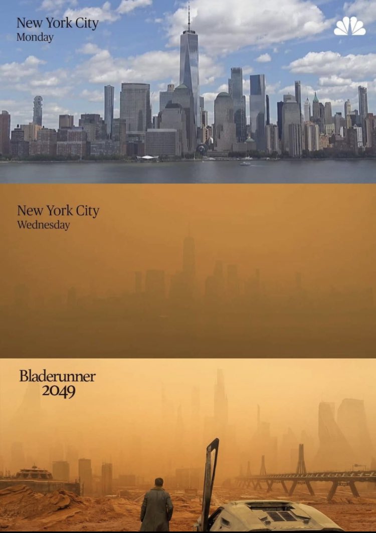 It’s literally worse than Blade Runner