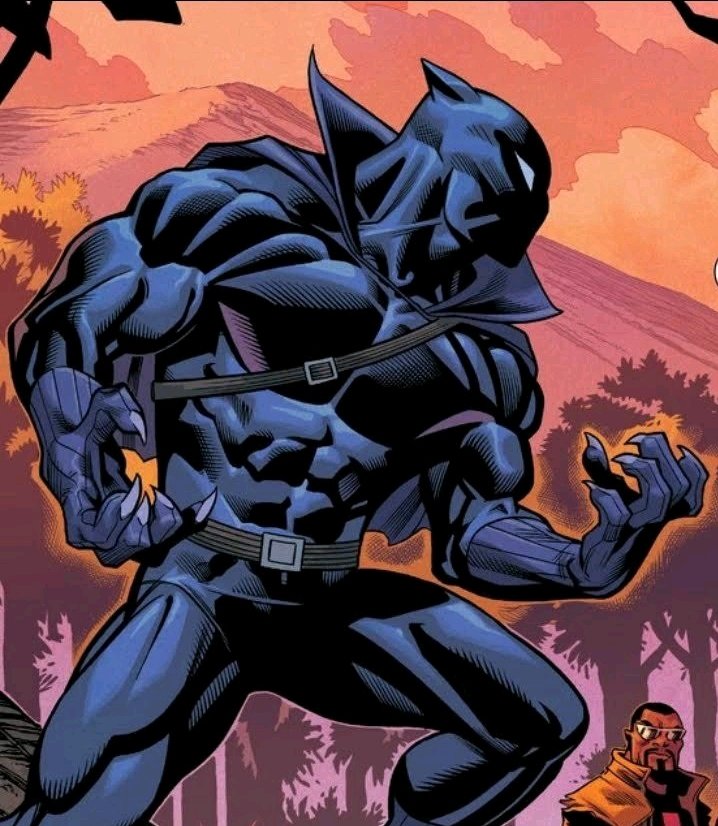 I still prefer this suit/look for #TChalla! #BlackPanther #ComicBooking101