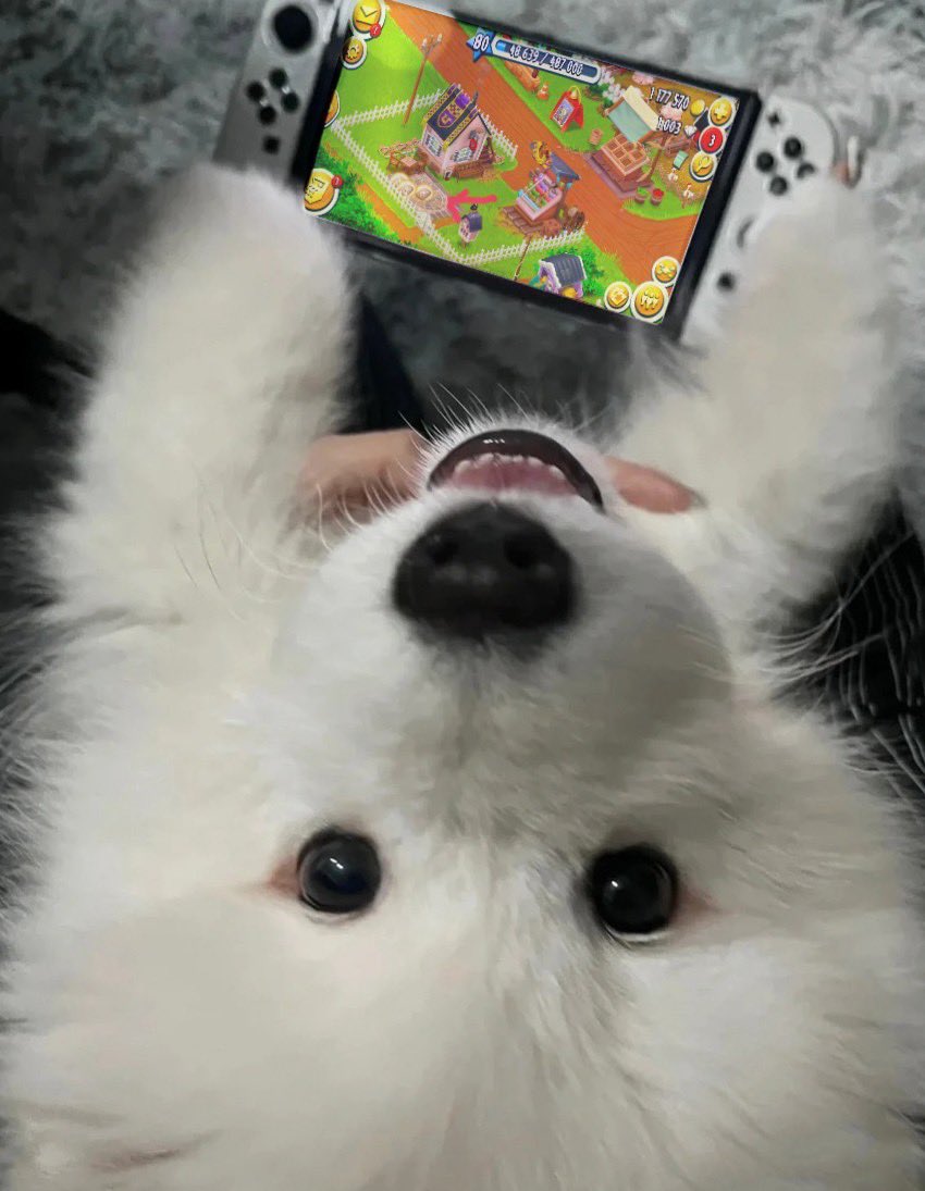 ขอตะปูสามกล่องด้ายม่าย