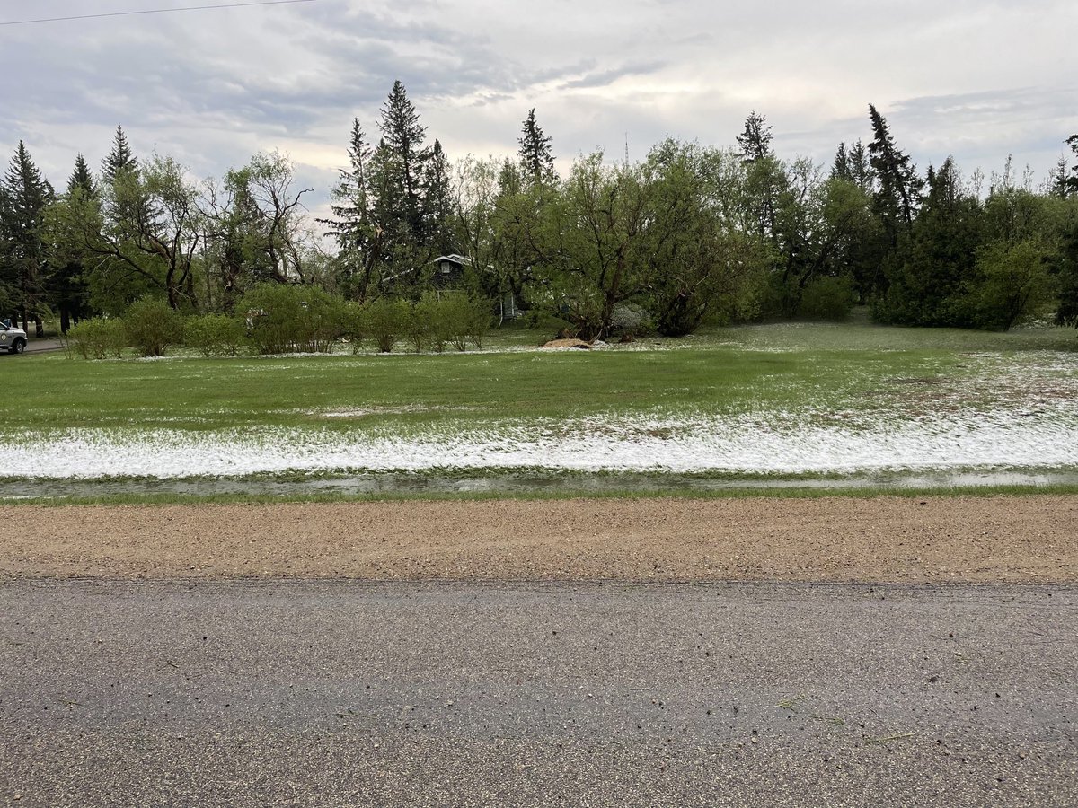 Eric Todd McLean tweet media