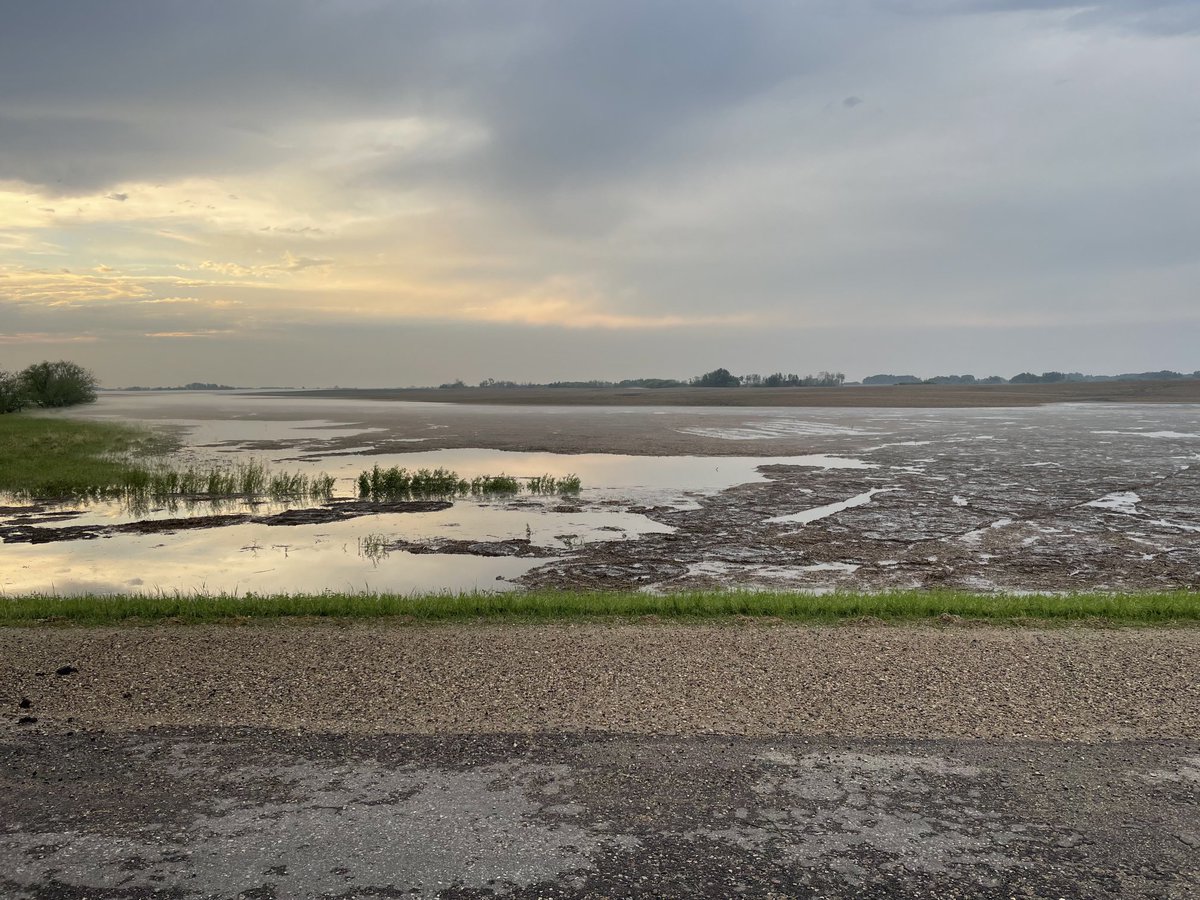 Eric Todd McLean tweet media