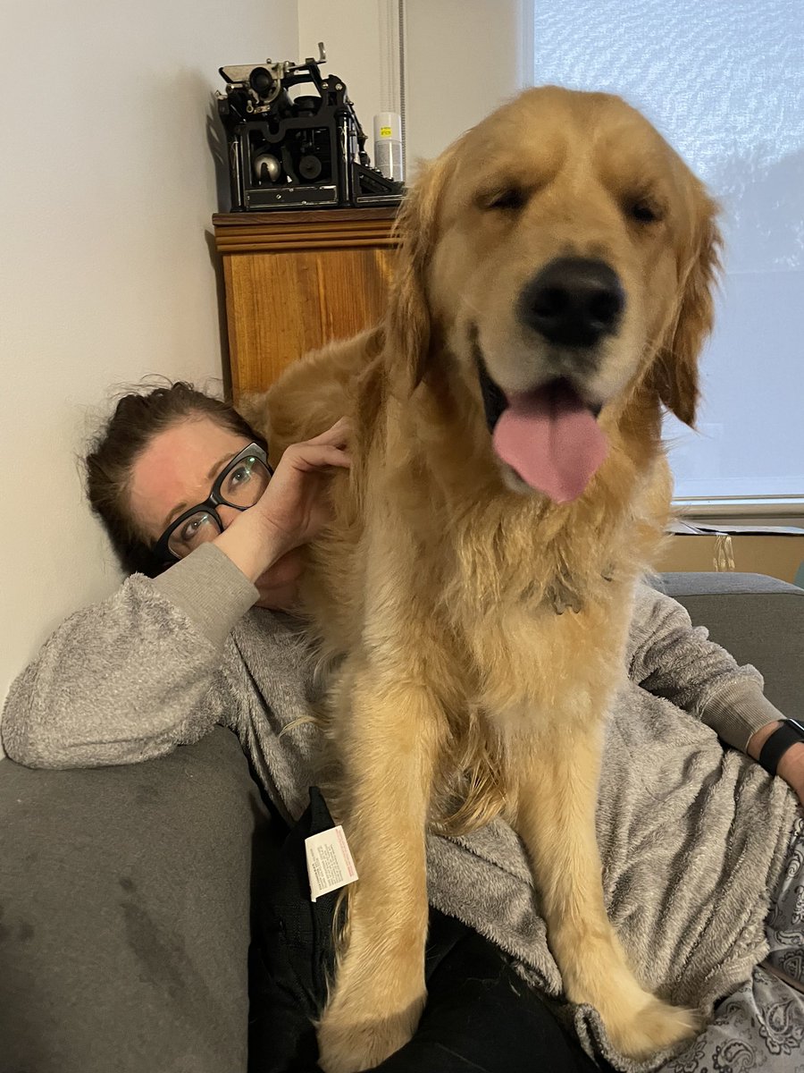 JodsC72's tweet photo. My gorgeous monster 😂❤️🐶🐶 https://t.co/Oq5OjzzvN8