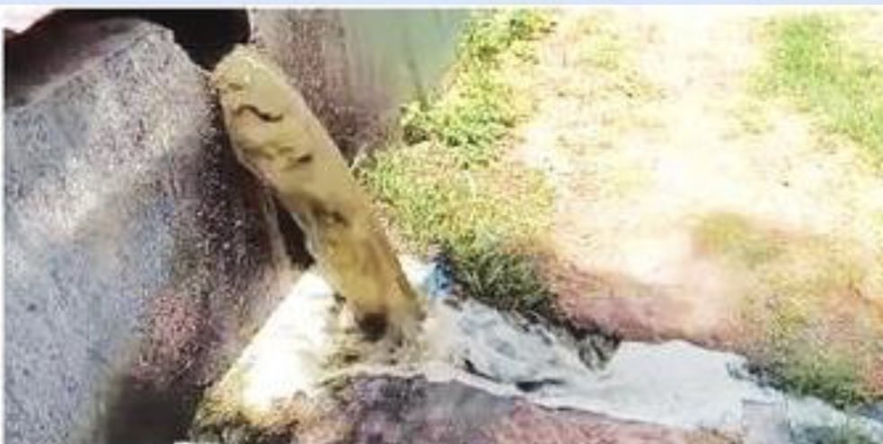 oheraldogoa's tweet photo. Waste from #biomethanation plant at #SGPDA market continues to sully adjoining fields
Read: https://t.co/jTa3XWhtus
#Goa #News #Headlines https://t.co/p1noy2LiPl