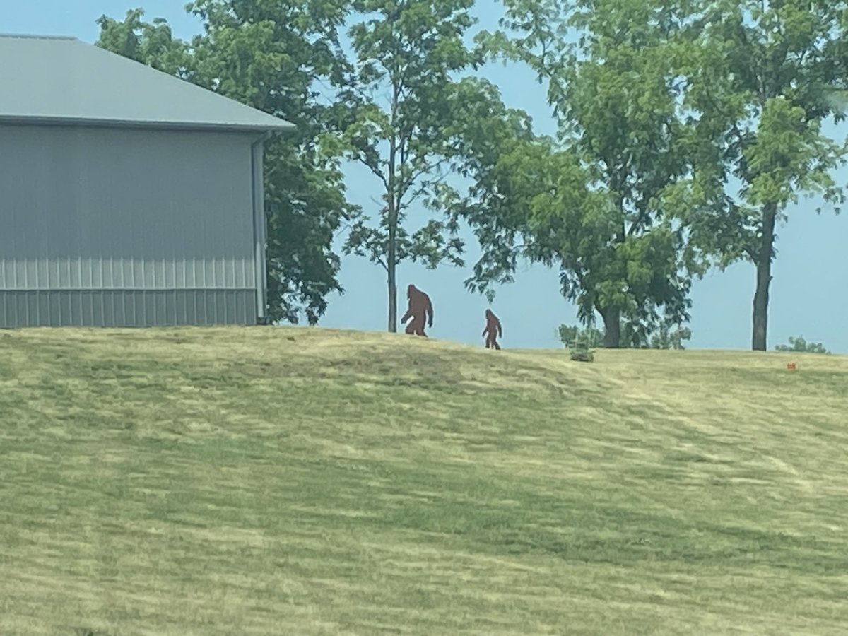 Cryptid Politics 🇺🇸🐊 on Twitter: "Bigfoot was even spotted coming out